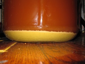 Sediment at the Bottom of Wort